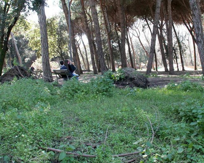 Spaccio, degrado, rifiuti: buona pineta a tutti 