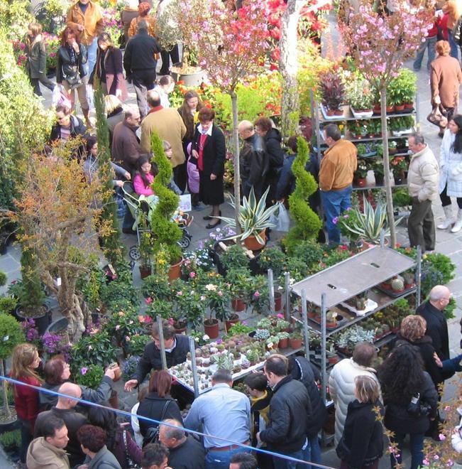 “Francigena in Fiore” decisa a battere il record di presenze 