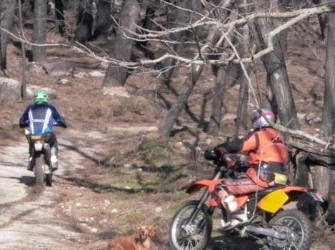 Gara di enduro nel Parco, modificato il tracciato