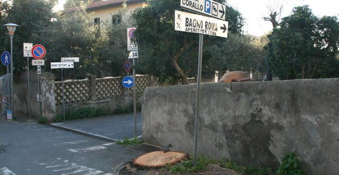Allarme dei cittadini «Abbattuti altri 3 pini» 