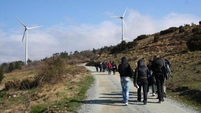 Parco eolico, riaperti i cantieri respinta la richiesta di sospensiva 