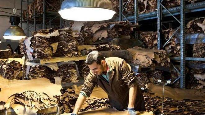 Tanti giovani in conceria il 50% ha meno di 45 anni