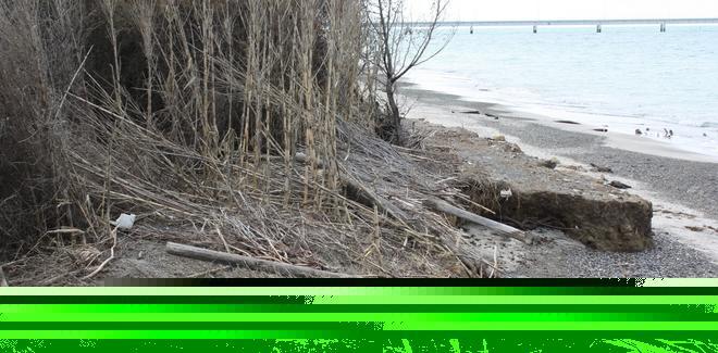 Allarme erosione a Vada Il mare distrugge le dune 