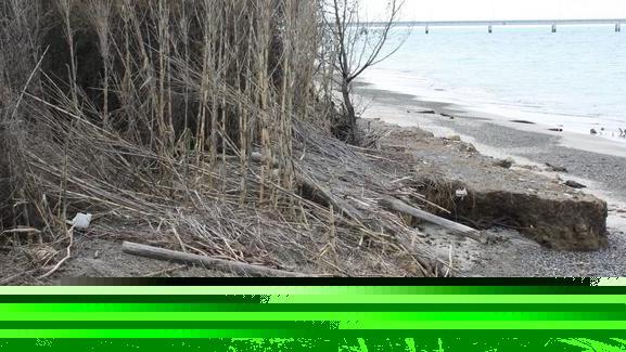 Allarme erosione a Vada Il mare distrugge le dune