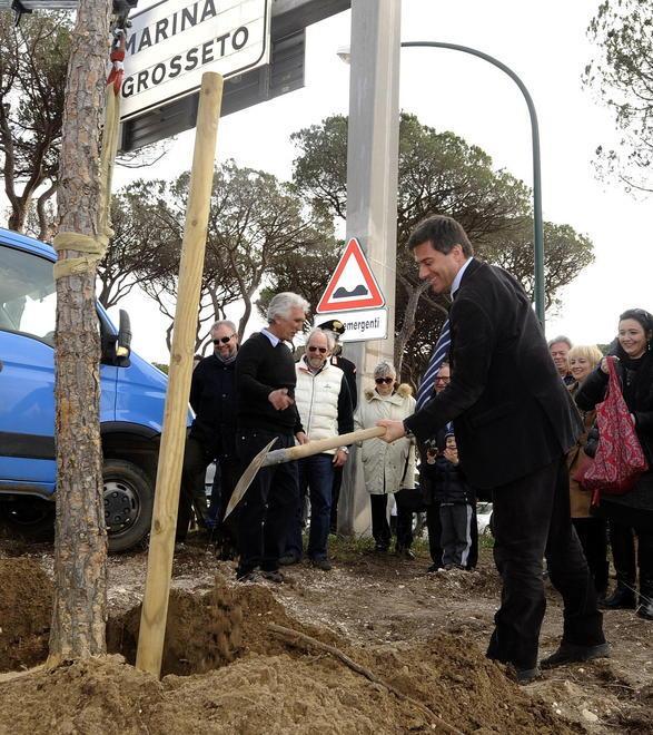 Dieci alberi per far rinascere la pineta 