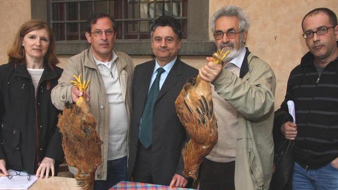«Su Baciacavallo controlli Asl»