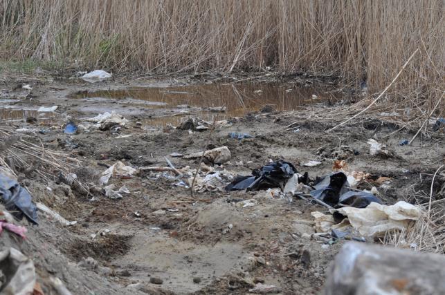 Lago di Massaciuccoli, prosegue la bonifica dell’ex discarica 