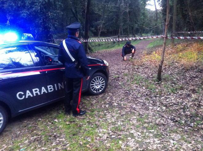 Un residuo bellico nella pineta del parco della Versiliana 