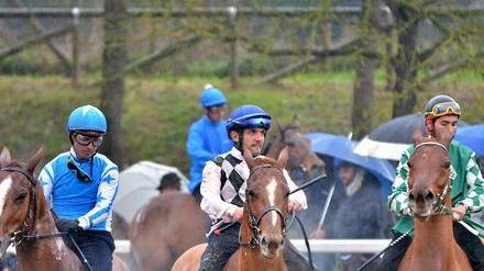 Al Gran Premio di Pasquetta 32 i cavalli in gara