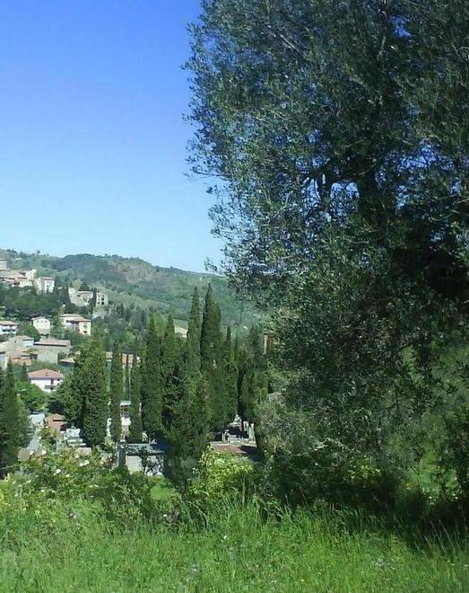 La vita di Fondazione Radici tra restauri e visite al frantoio