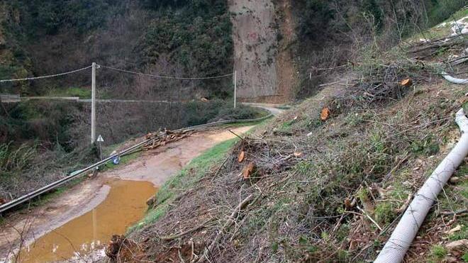 Corsanico, urgenza anche per la Regione