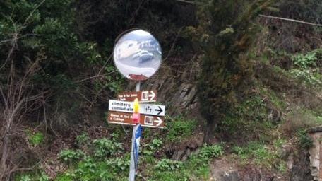 Transenne da rimuovere sulla strada 325