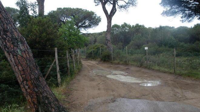 Stagione balneare, disciplinata la sosta al km 28