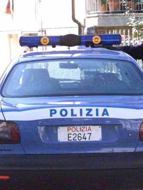 Accarezza un cane, scatena una rissa 