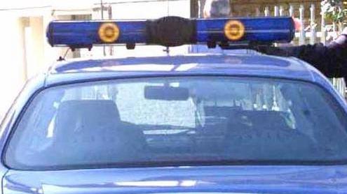 Accarezza un cane, scatena una rissa