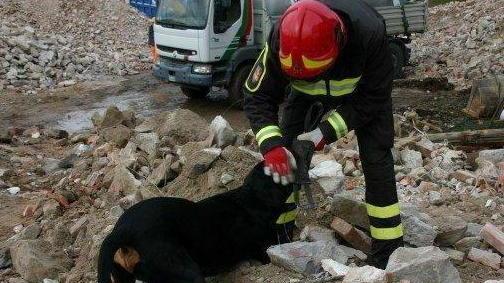 Lavoro, “Trilly” e i suoi tre figli Le passioni dell’eroe entusiasta
