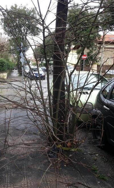 Parte la guerra alle buche ma il degrado c’è ancora
