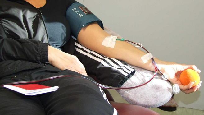 Donatori di sangue, Casola prima in Italia
