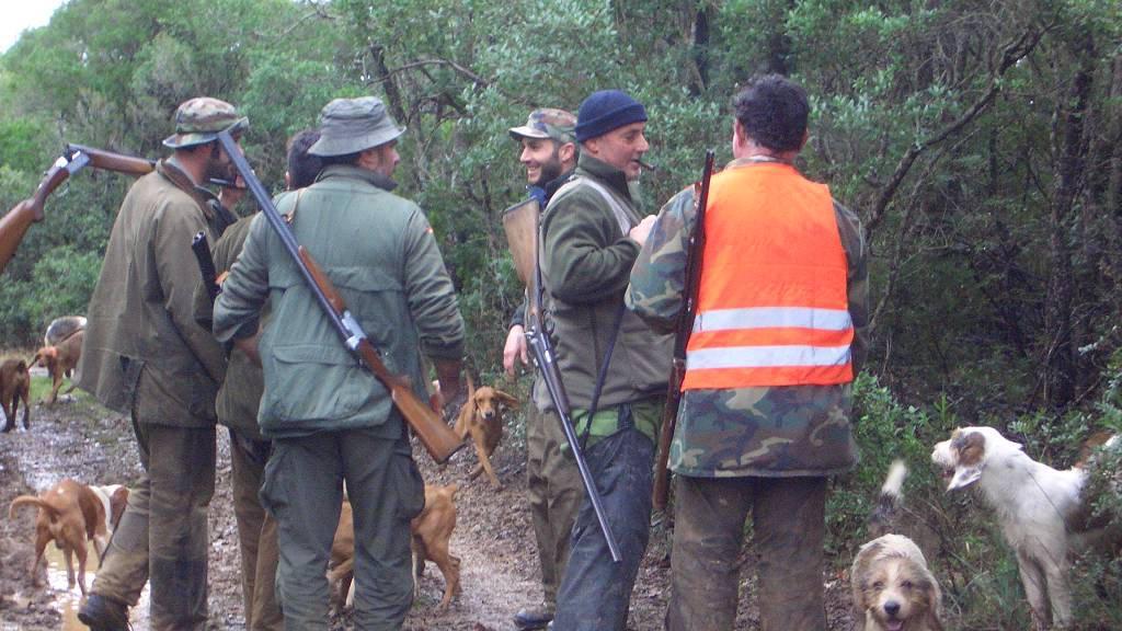 Appello dei cacciatori: “Fermiamo l’abbattimento dei cinghiali nell'oasi ex Smi”