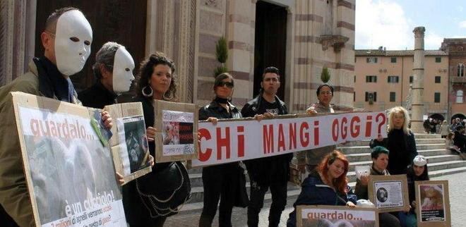 Davanti al Duomo per salvare gli agnelli