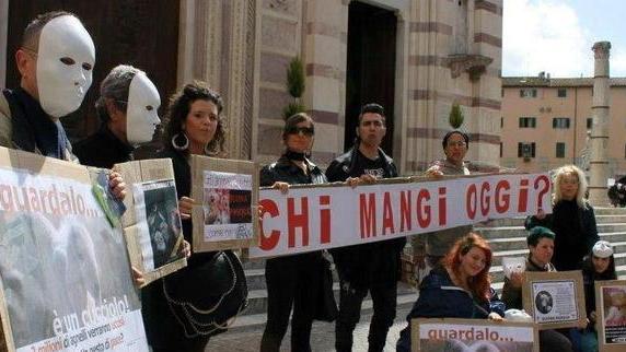 Davanti al Duomo per salvare gli agnelli