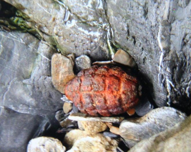 Fatta brillare in mare la bomba di Quercianella 