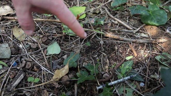 Siringhe accanto al parco in centro a Empoli