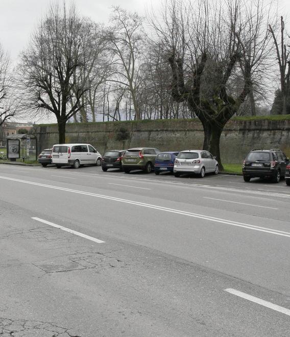 Stalli blu vuoti (o quasi) sui viali il Comune chiede una verifica 