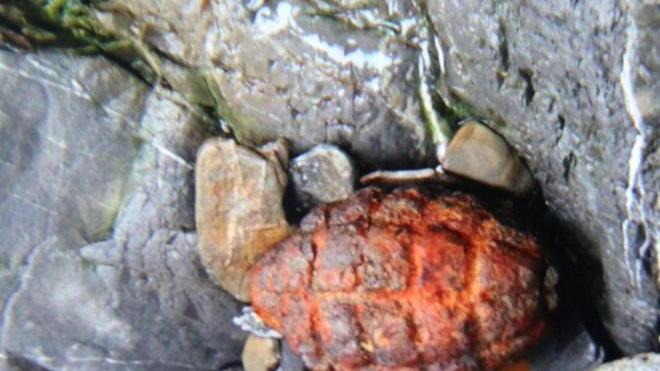 Oggi riunione tecnica sulla bomba