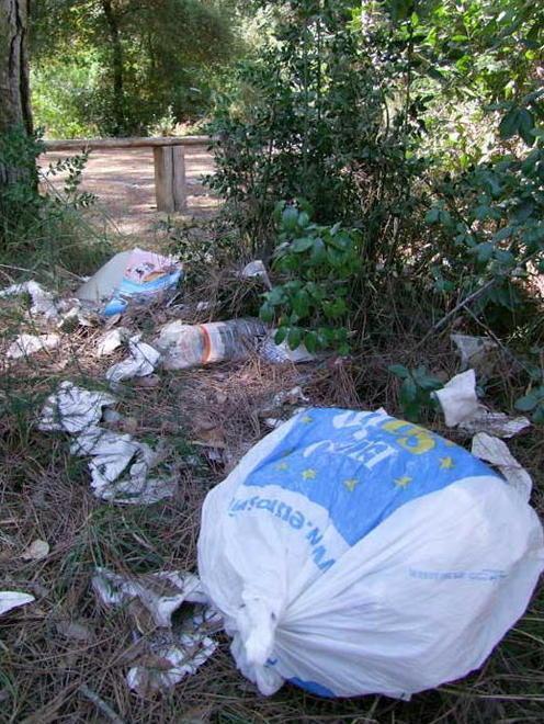 «Raccogliamo i rifiuti in pineta» 