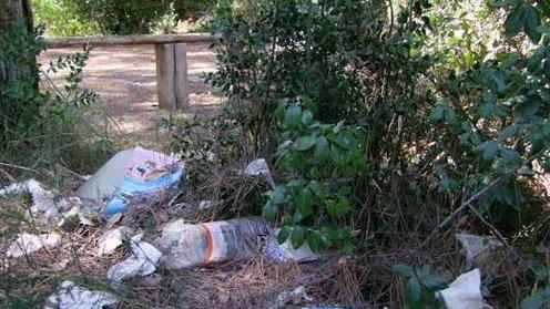 «Raccogliamo i rifiuti in pineta»
