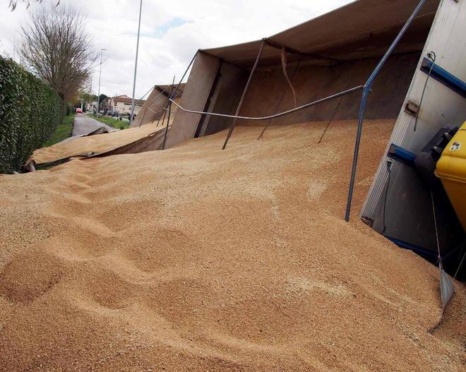 Camion con 300 quintali di grano fuori strada a Ponte a Elsa 