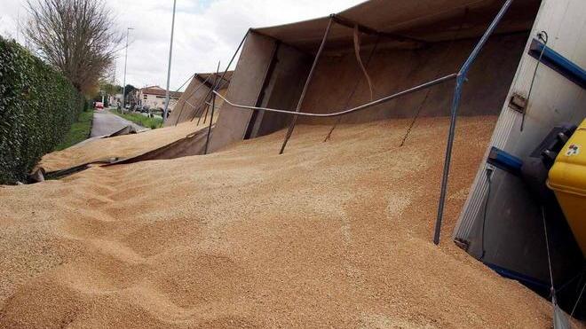 Camion con 300 quintali di grano fuori strada a Ponte a Elsa