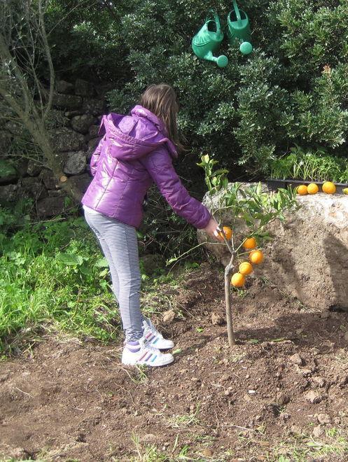 Bando alle merendine, la frutta è meglio 