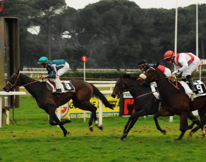 Linchetto e Sham King vincono insieme 