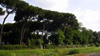 Ipotesi albergo a 5 stelle Ma il sindaco dice no
