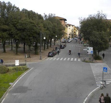 A rischio il reimpianto dei lecci quasi centenari 