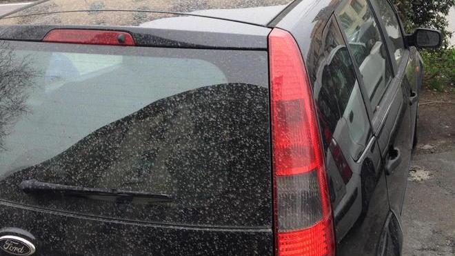 Il maltempo porta terra sulle auto