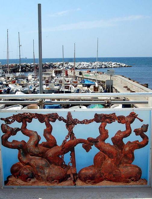 Per far rivivere i delfini parte una raccolta fondi 