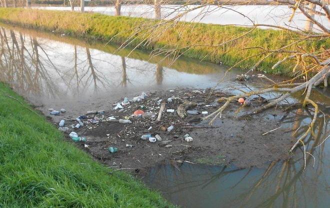 Raccolta di rifiuti nel Padule di Fucecchio 