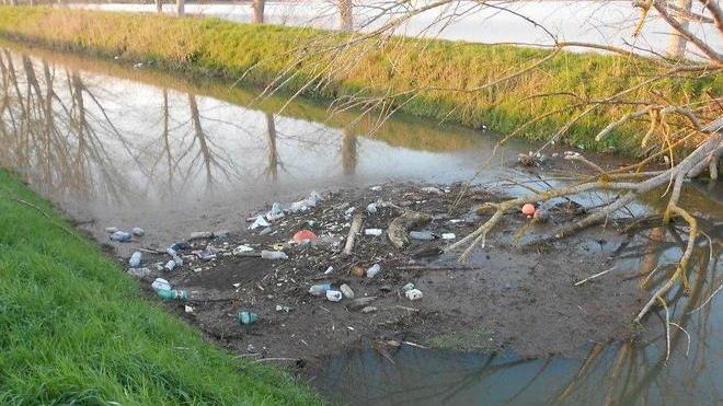 Raccolta di rifiuti nel Padule di Fucecchio