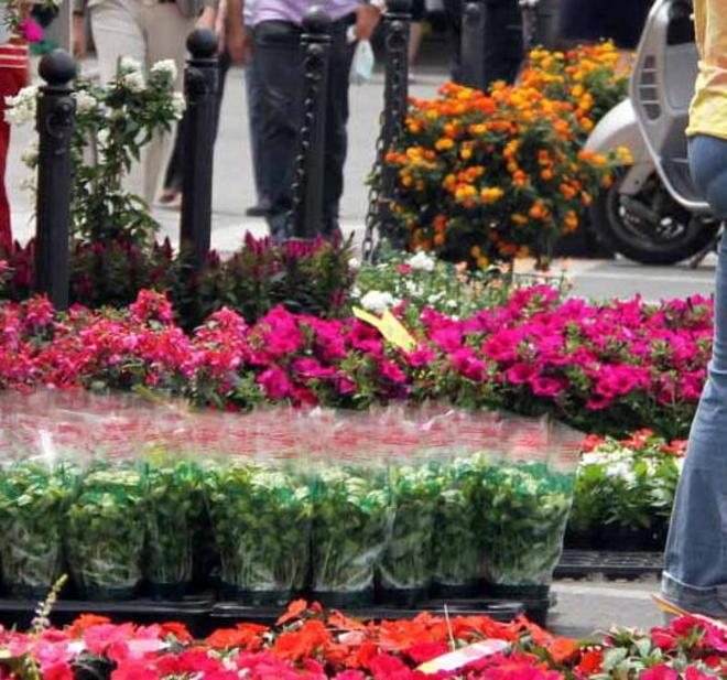 Mercatini e la festa dei bambini autistici