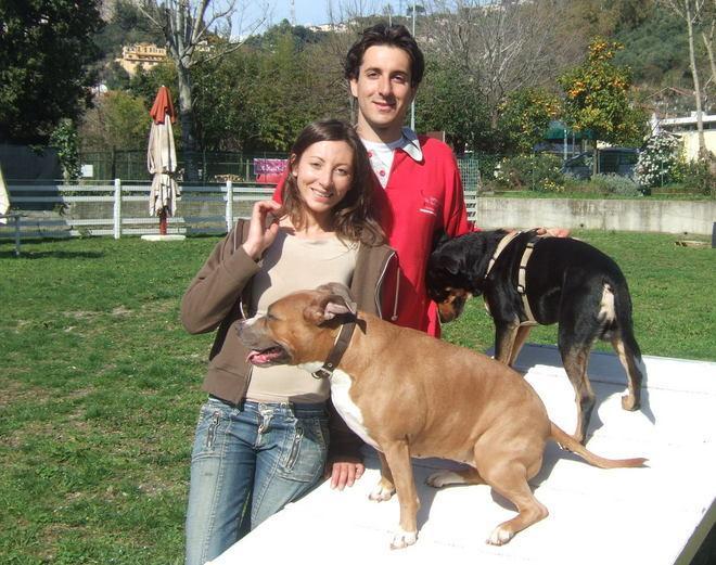 Quando il cane fa fare jogging 