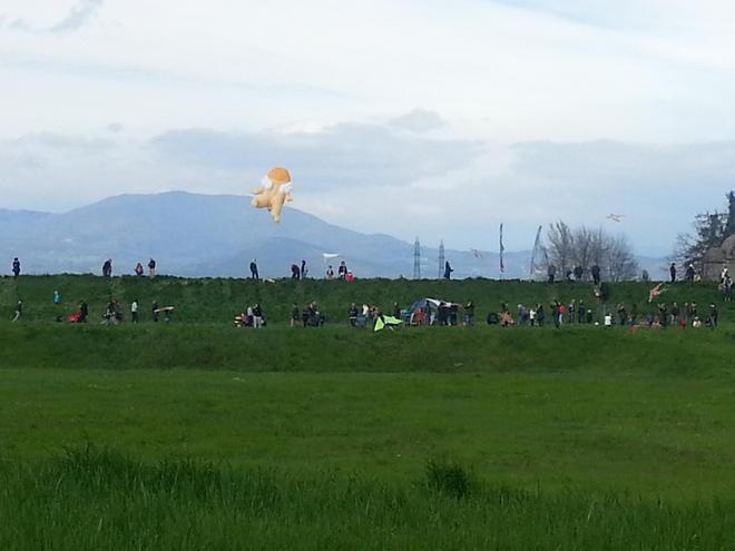 Tanti aquiloni sull’argine dell’Ombrone nella Festa di primavera 