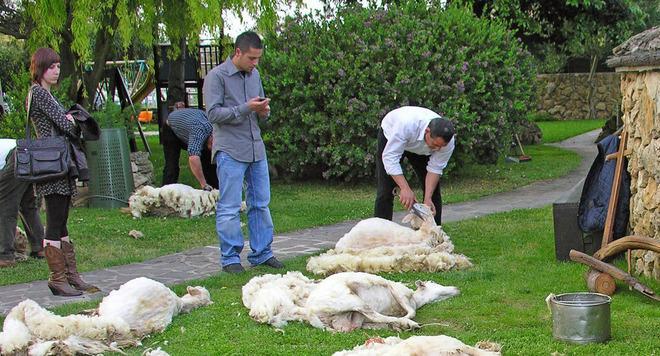 L’agriturismo sposa cultura e sapore e promuove 10 eventi 