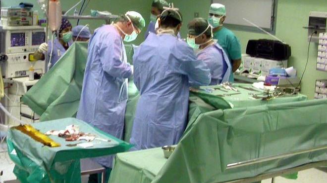 «Non facciamo allarmismi mortalità sotto la media»
