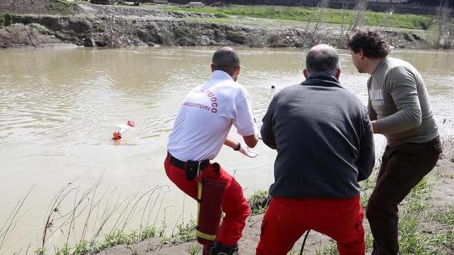 Tutto nudo e senza un braccio cadavere ripescato nell’Arno