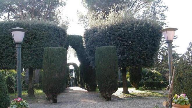 Gaudì e le tartarughe