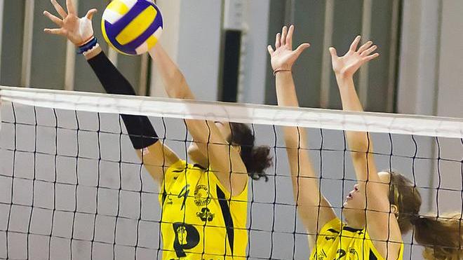 Lupi-Arca Cus Pisa Troppa differenza gialloblù ko in tre set