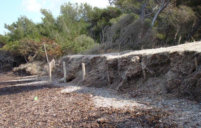 «Alghe contro l’erosione» Sel scrive al sindaco